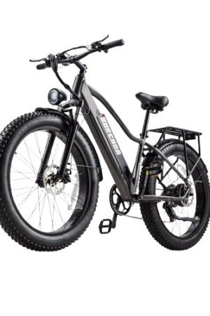 bike fat bike